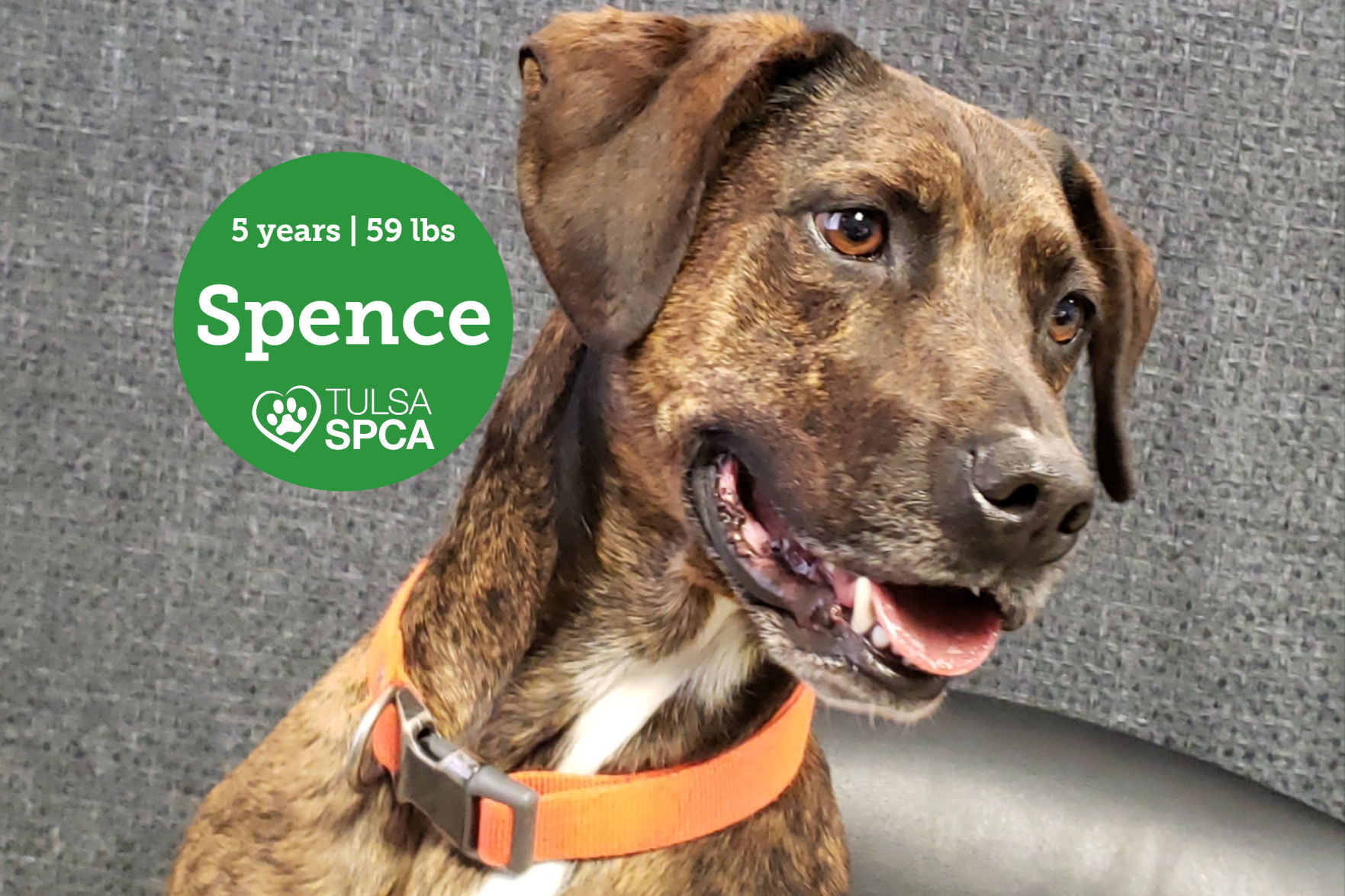 Spence